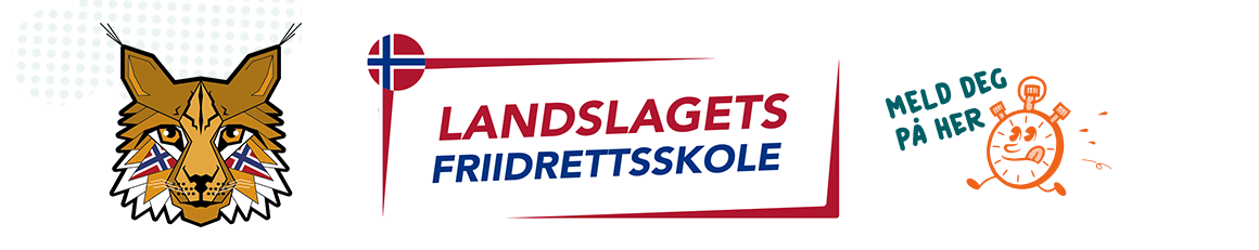 DNB - Drettsleker